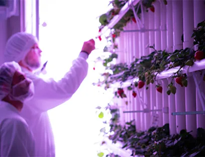 Vertical Farming